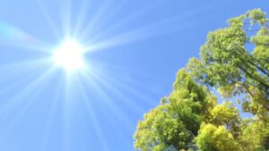 リノベショップ比較で迷ったら｜つくば市で後悔しない会社選びの考え方